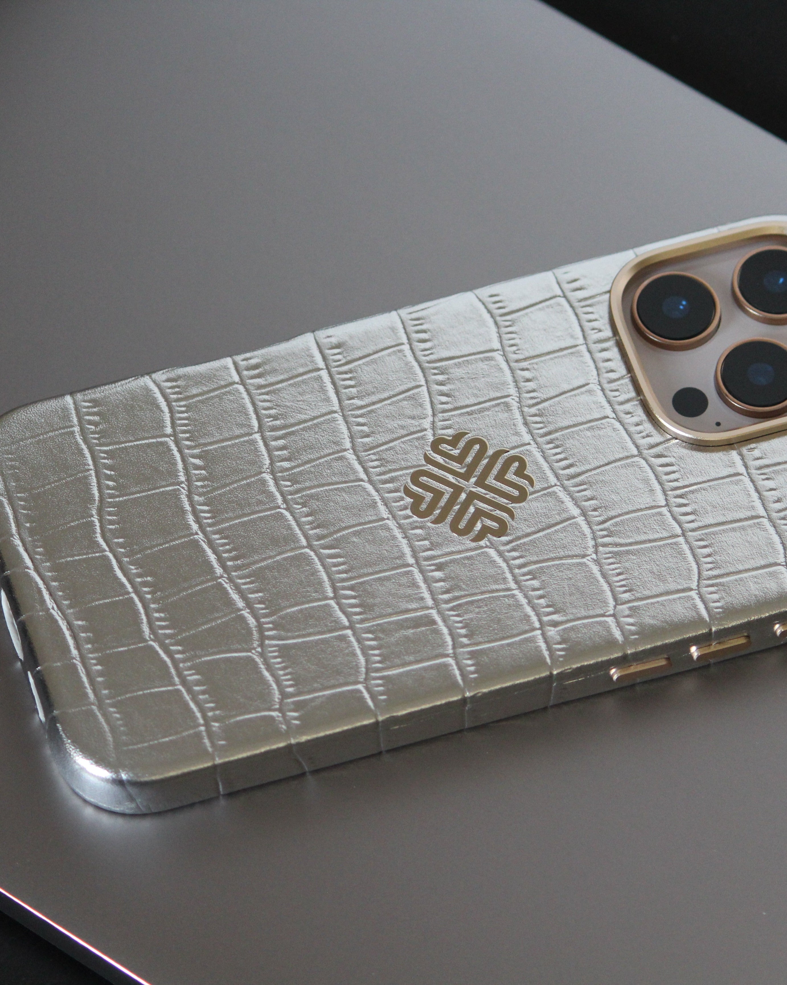 iPhone 16 Series True Titanium - lifestyle