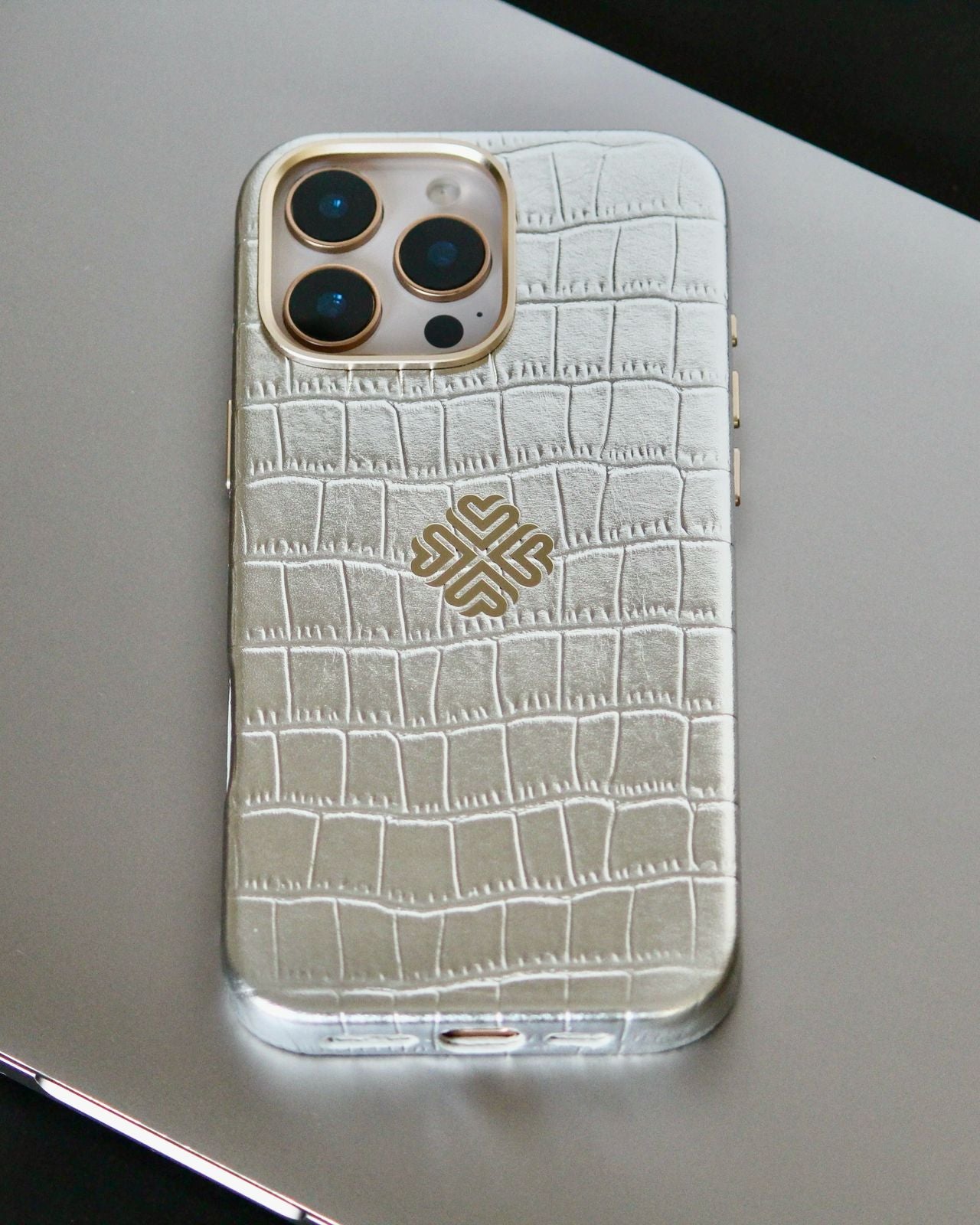 iPhone 16 Series True Titanium - phone case