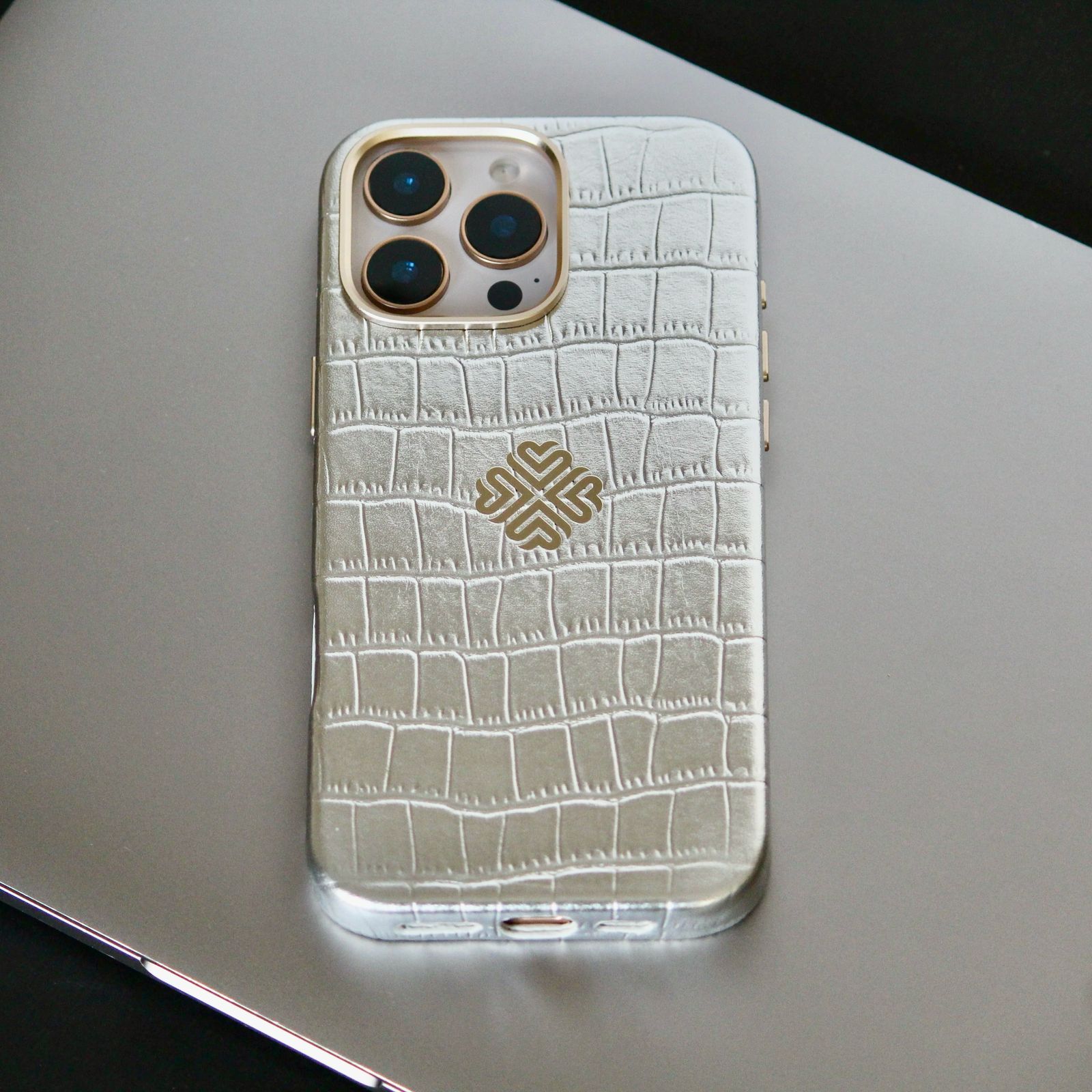 iPhone 16 Series True Titanium - phone case