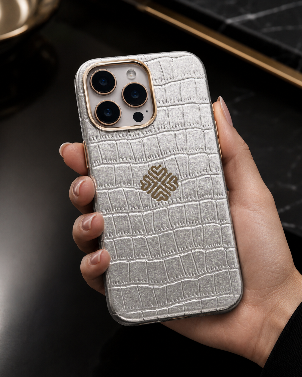 iPhone 16 Series True Titanium - protective case detail