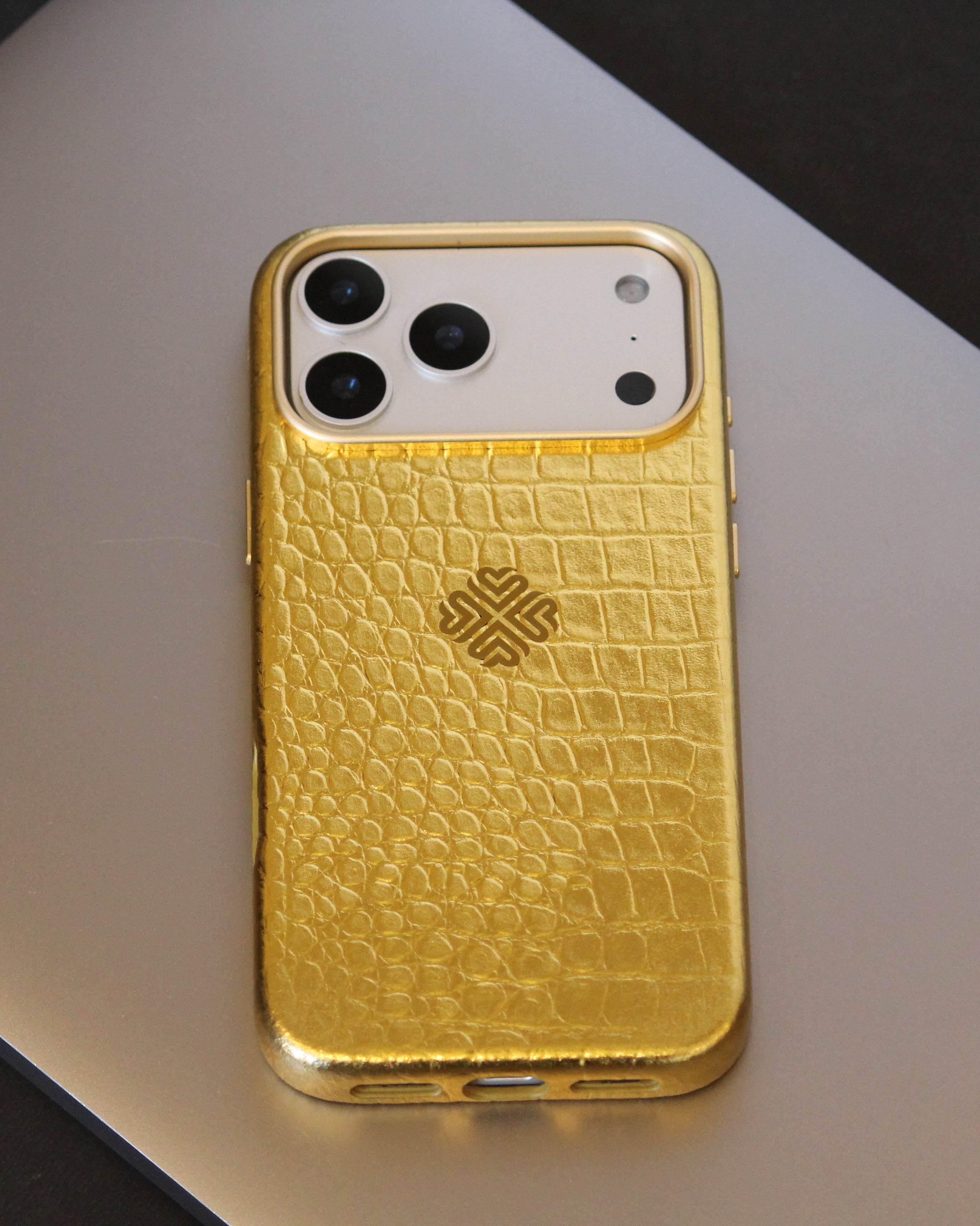 iPhone 17 Series Leather iPhone Cover - protective case detail