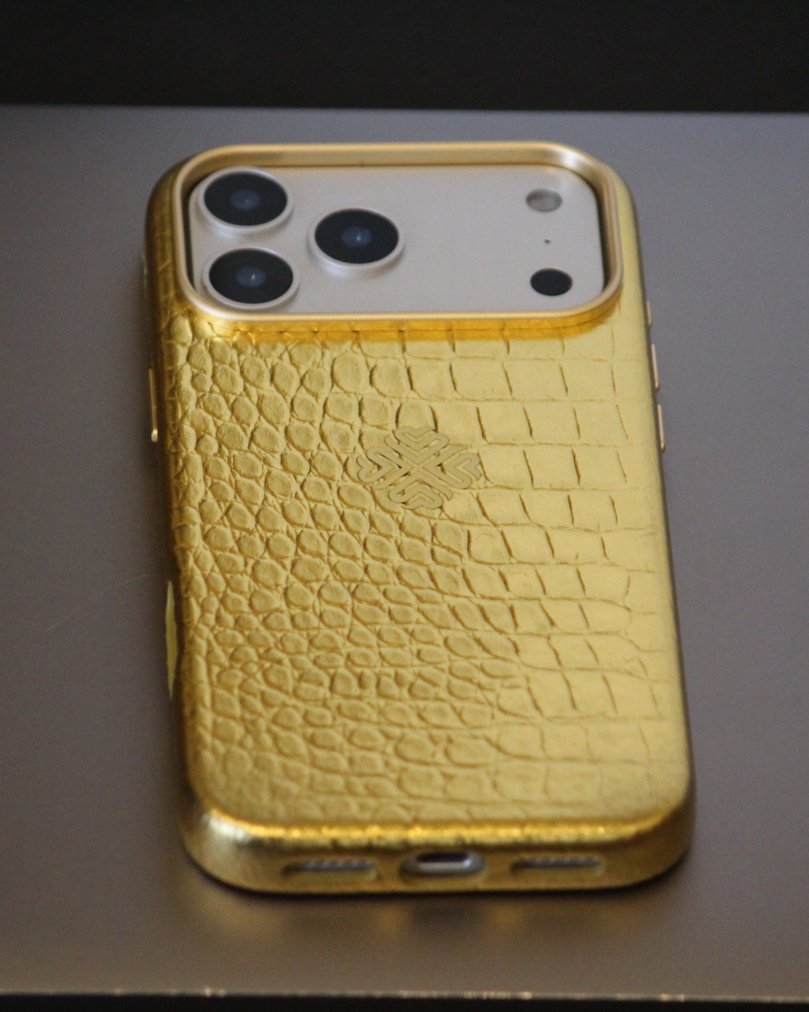 iPhone 17 Series Leather iPhone Cover - lifestyle