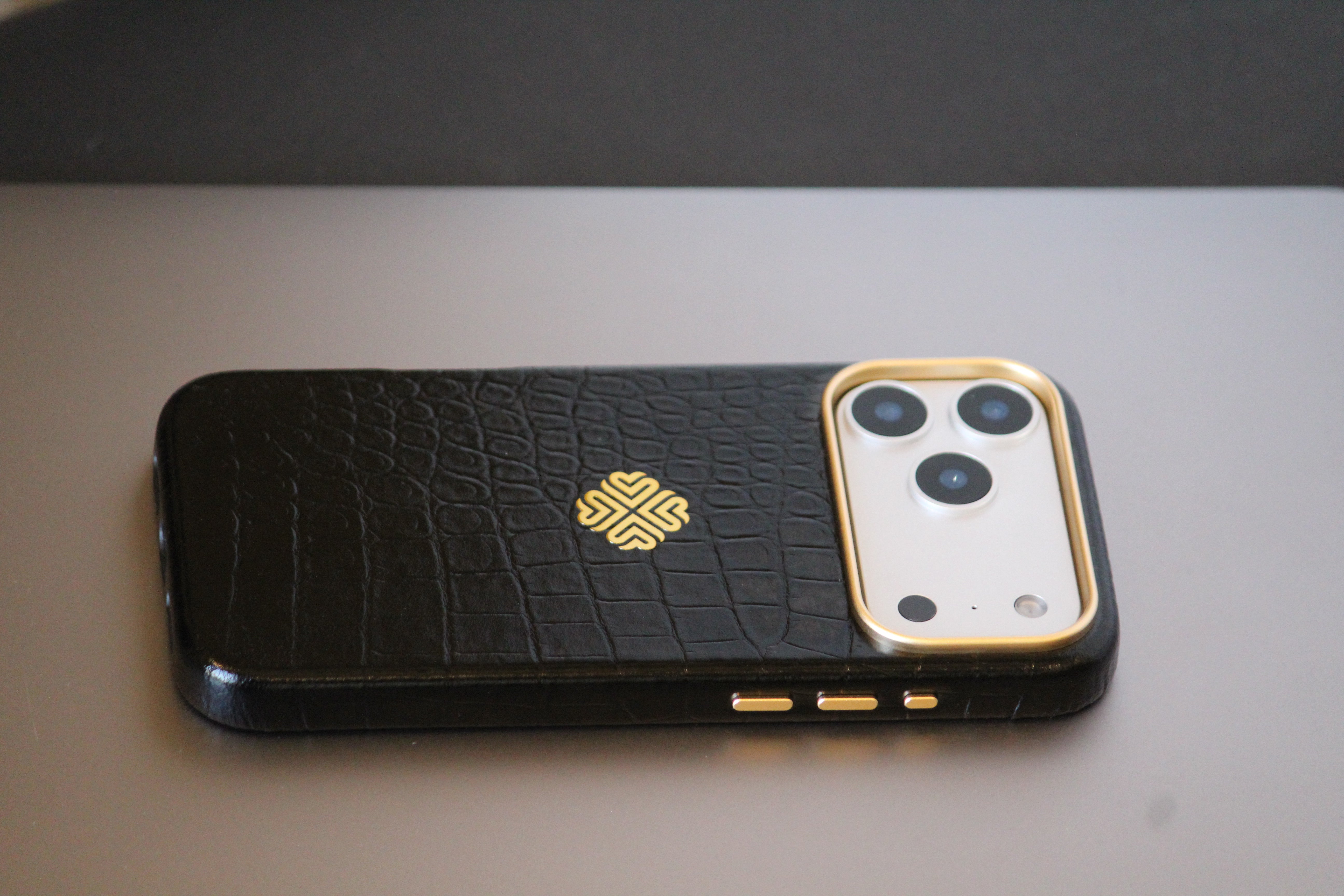 iPhone 17 Series Leather iPhone Cover - lifestyle