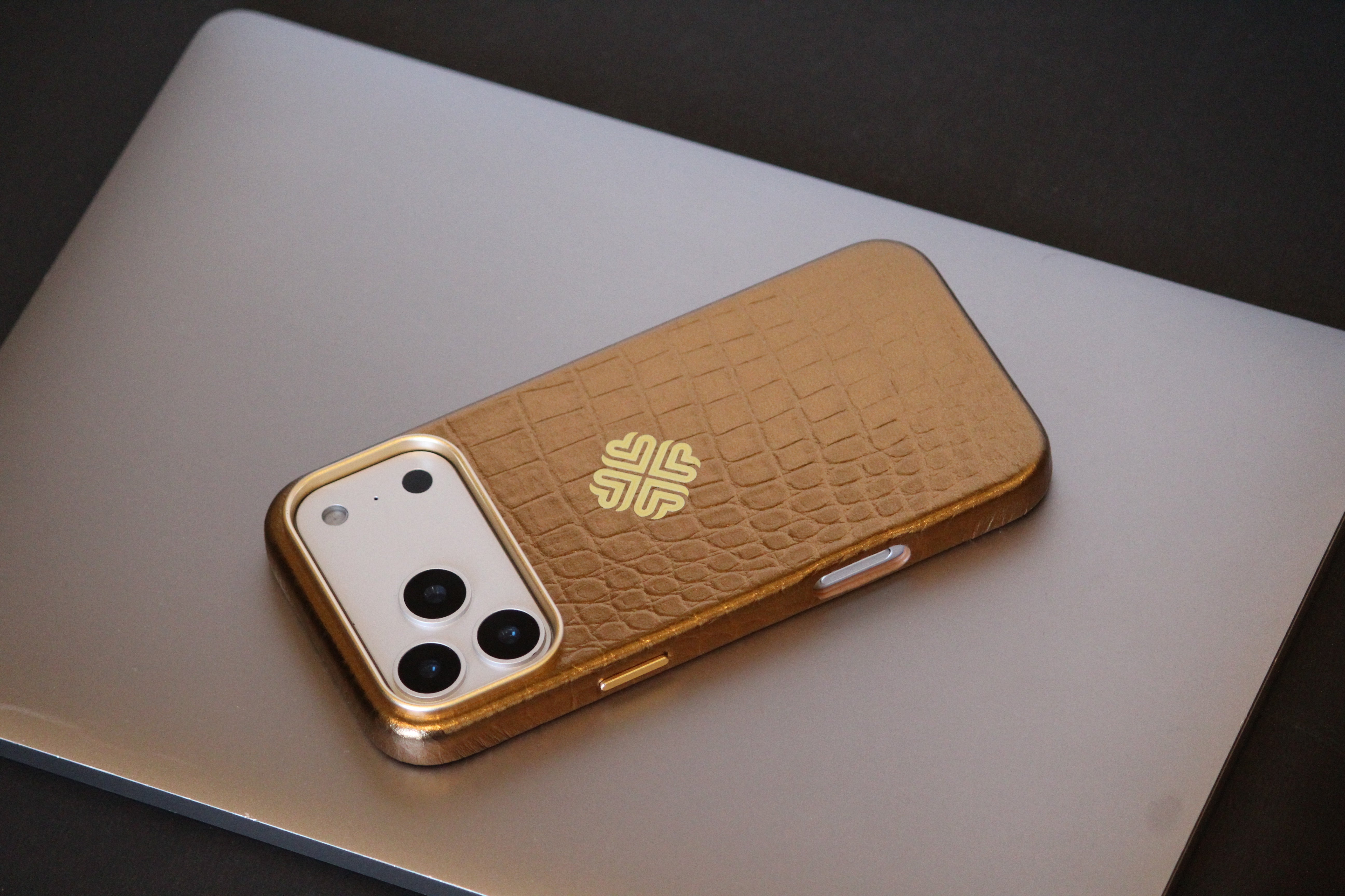iPhone 17 Series Leather iPhone Cover - protective case detail