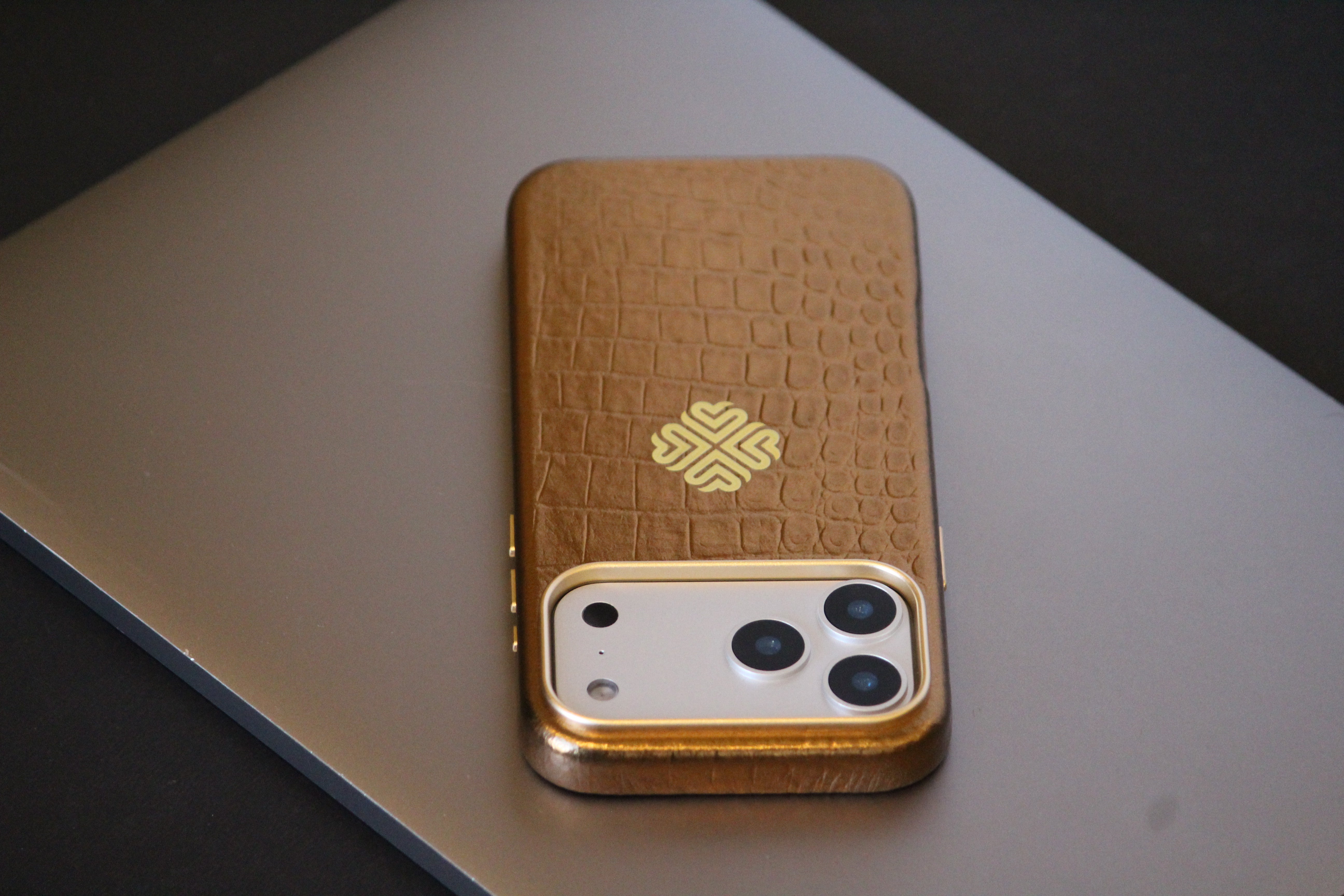 iPhone 17 Series Leather iPhone Cover - lifestyle