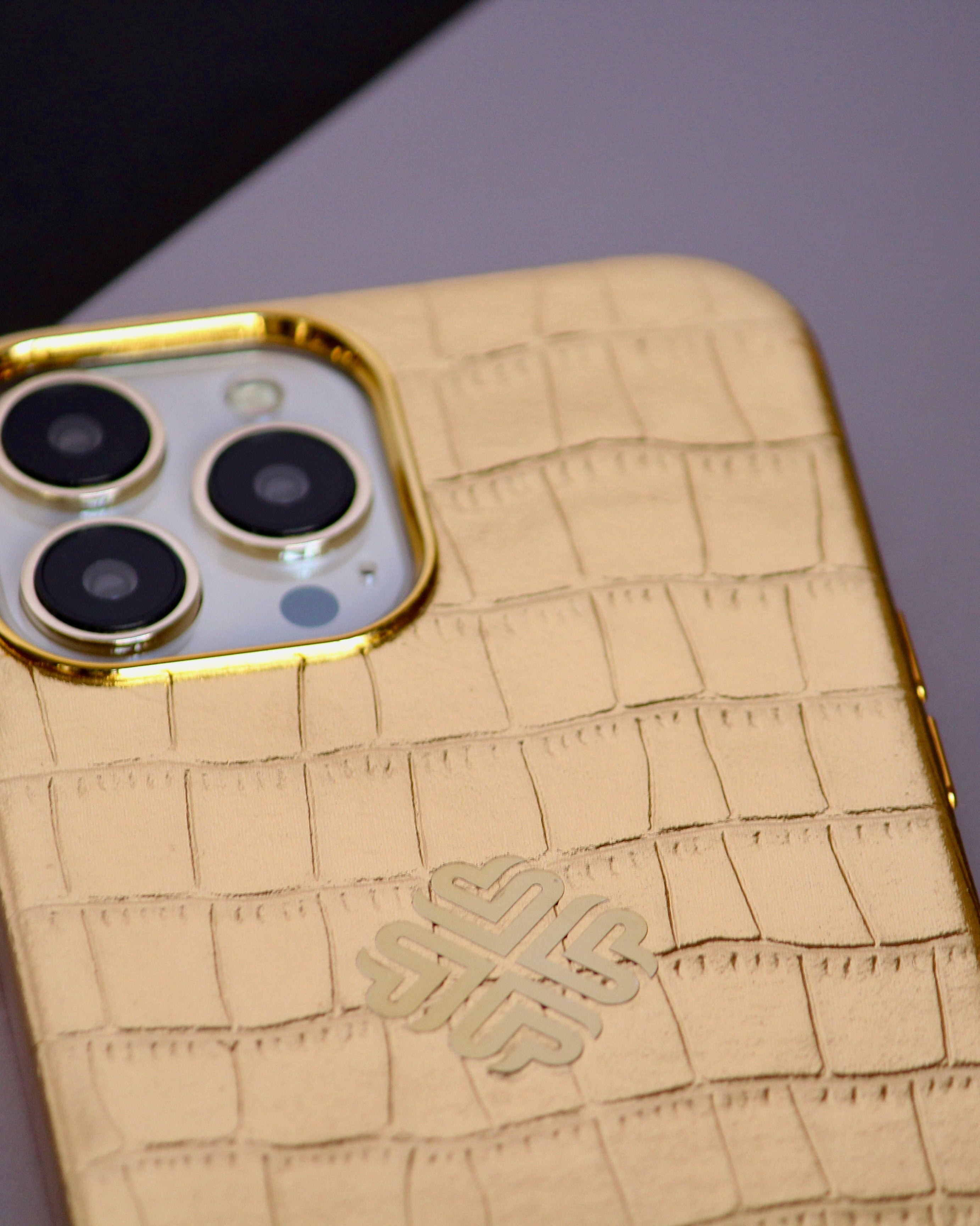 iPhone 16 Pro Leather iPhone Cover - case features