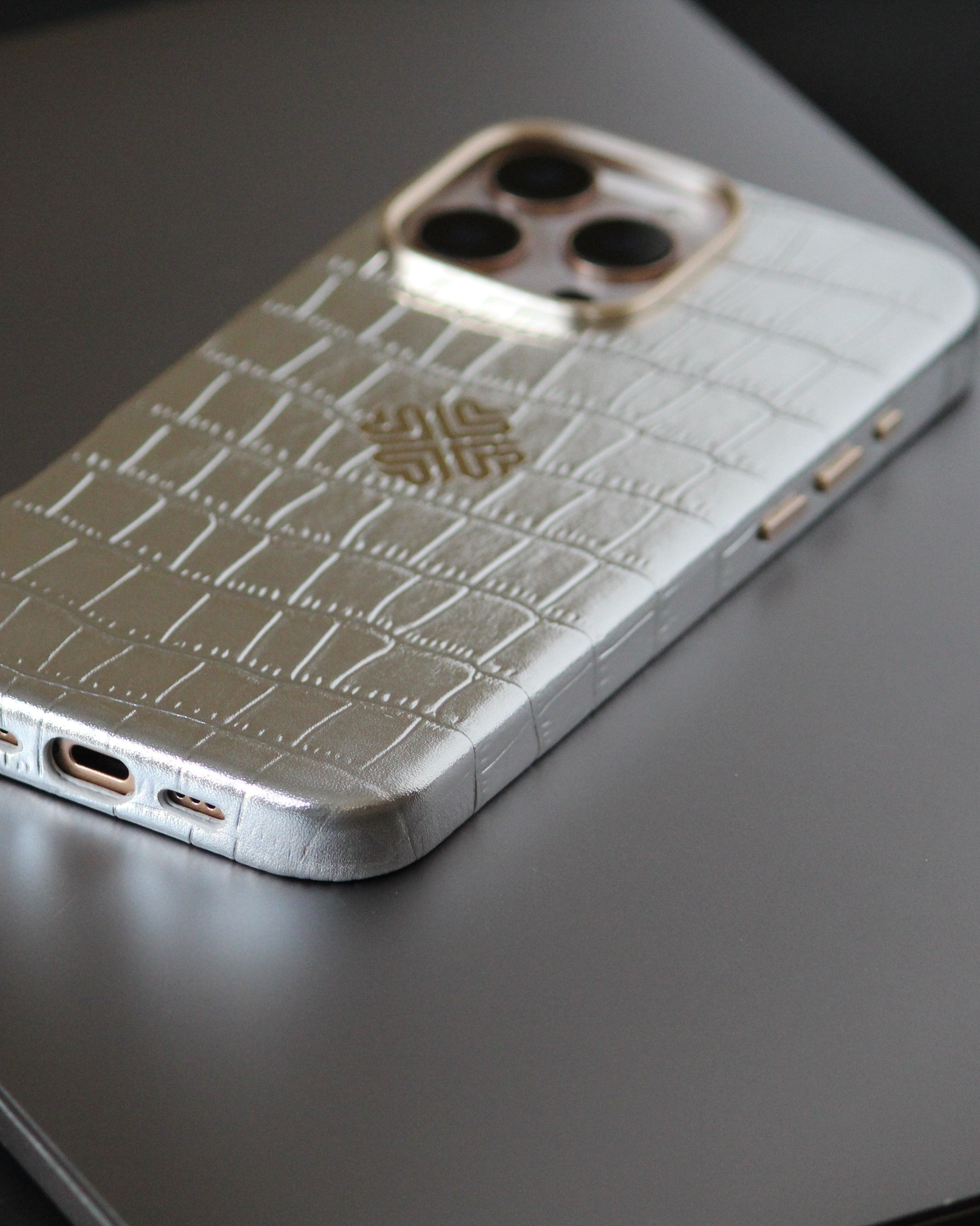 iPhone 16 Series True Titanium - lifestyle