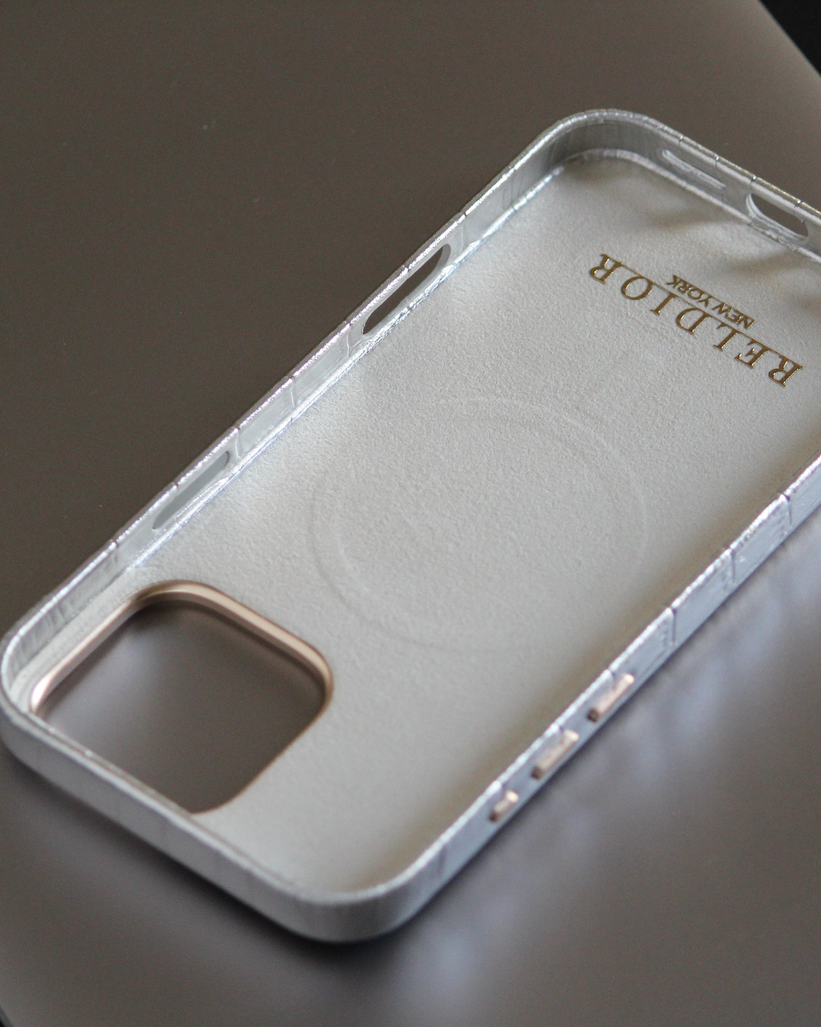 iPhone 16 Series True Titanium - phone case
