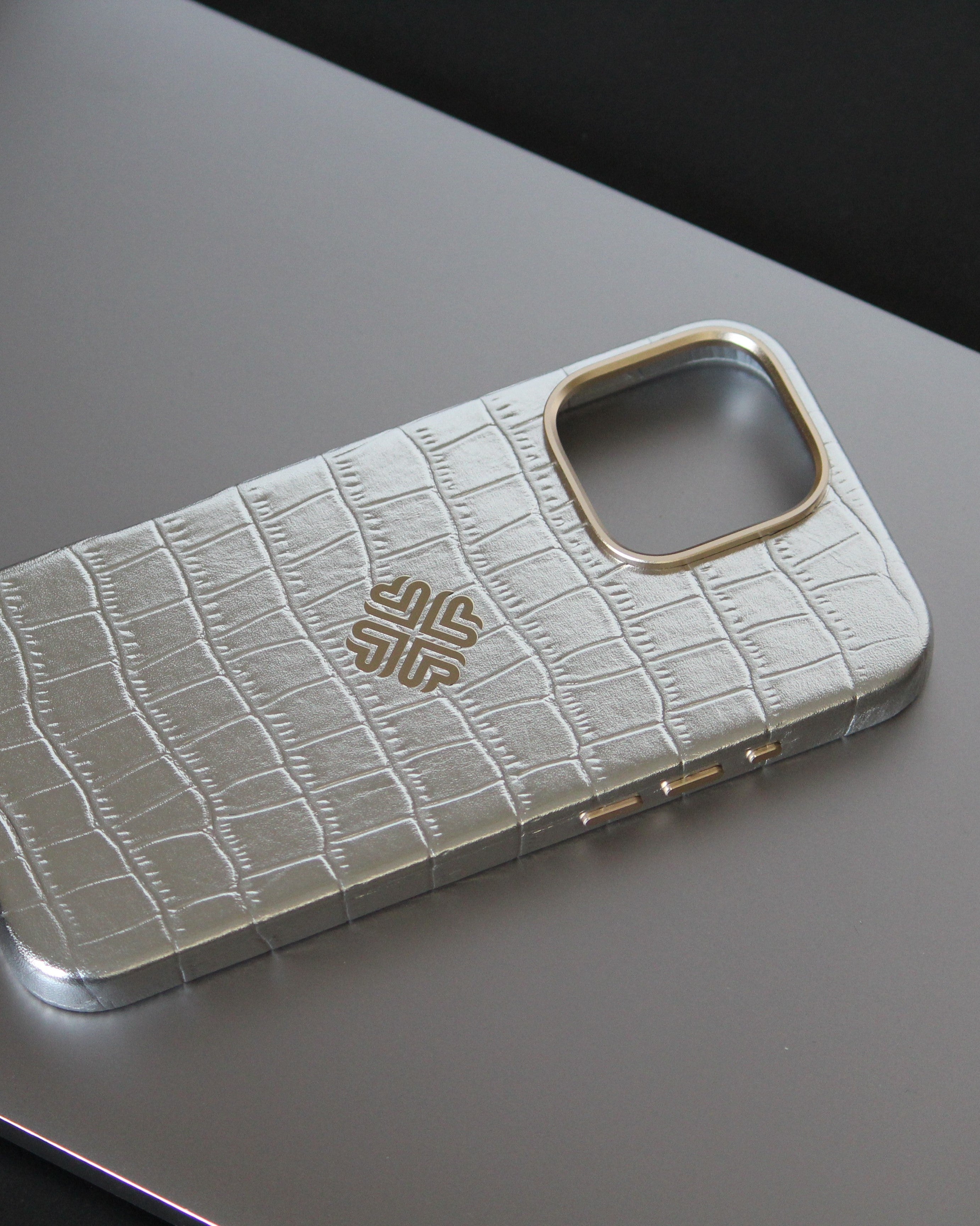 iPhone 16 Series True Titanium - slim profile