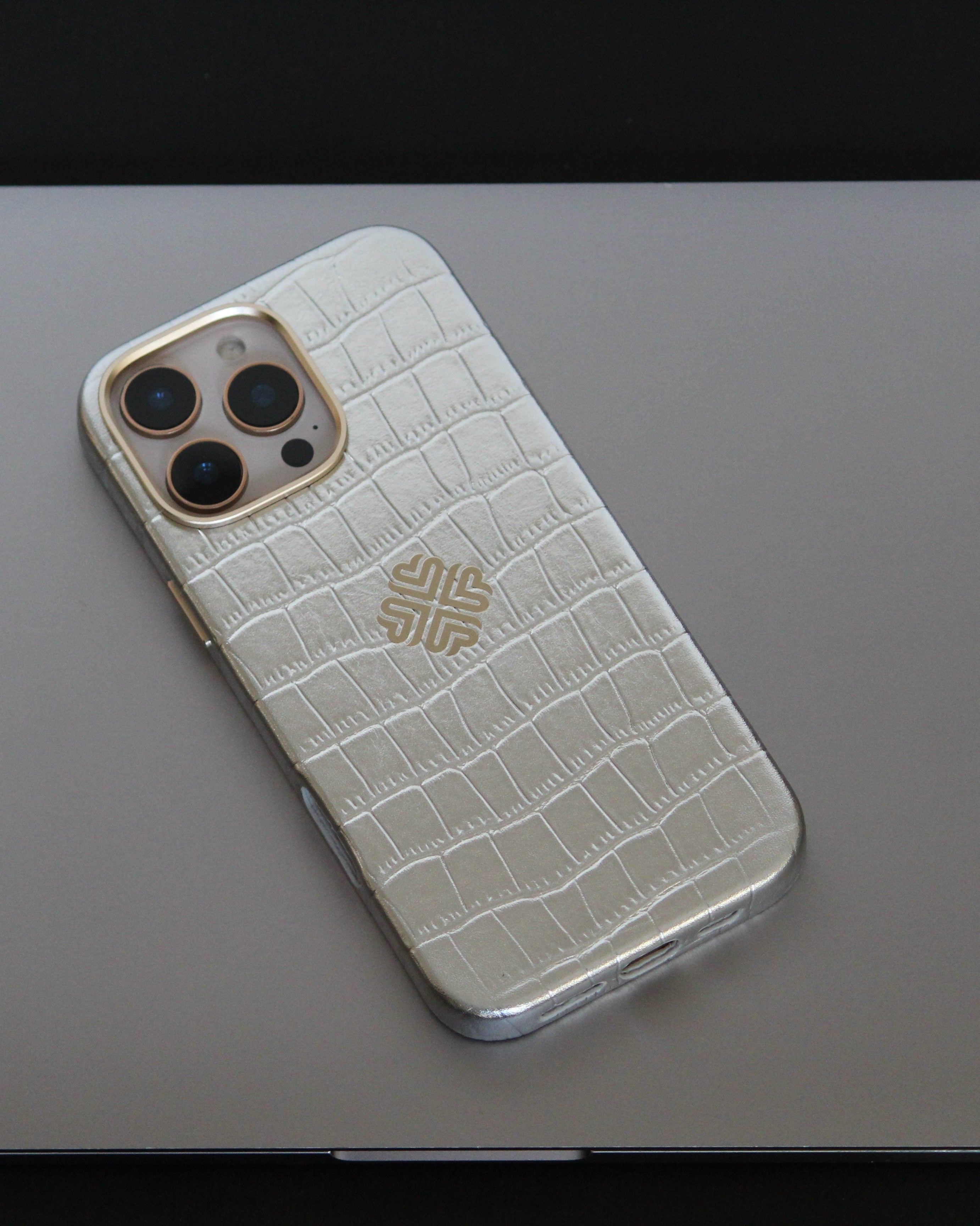 iPhone 16 Series True Titanium - colour options