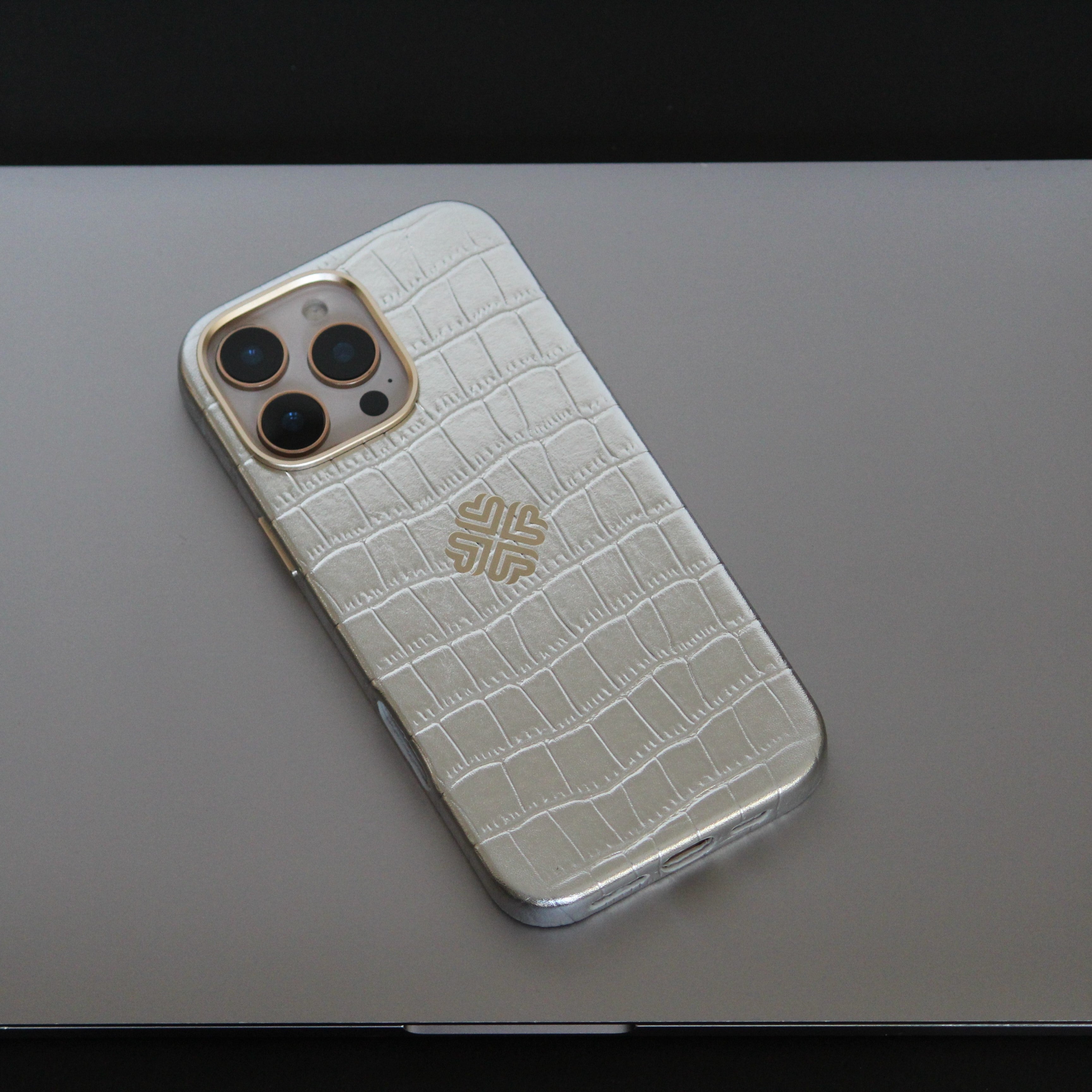 iPhone 16 Series True Titanium - colour options