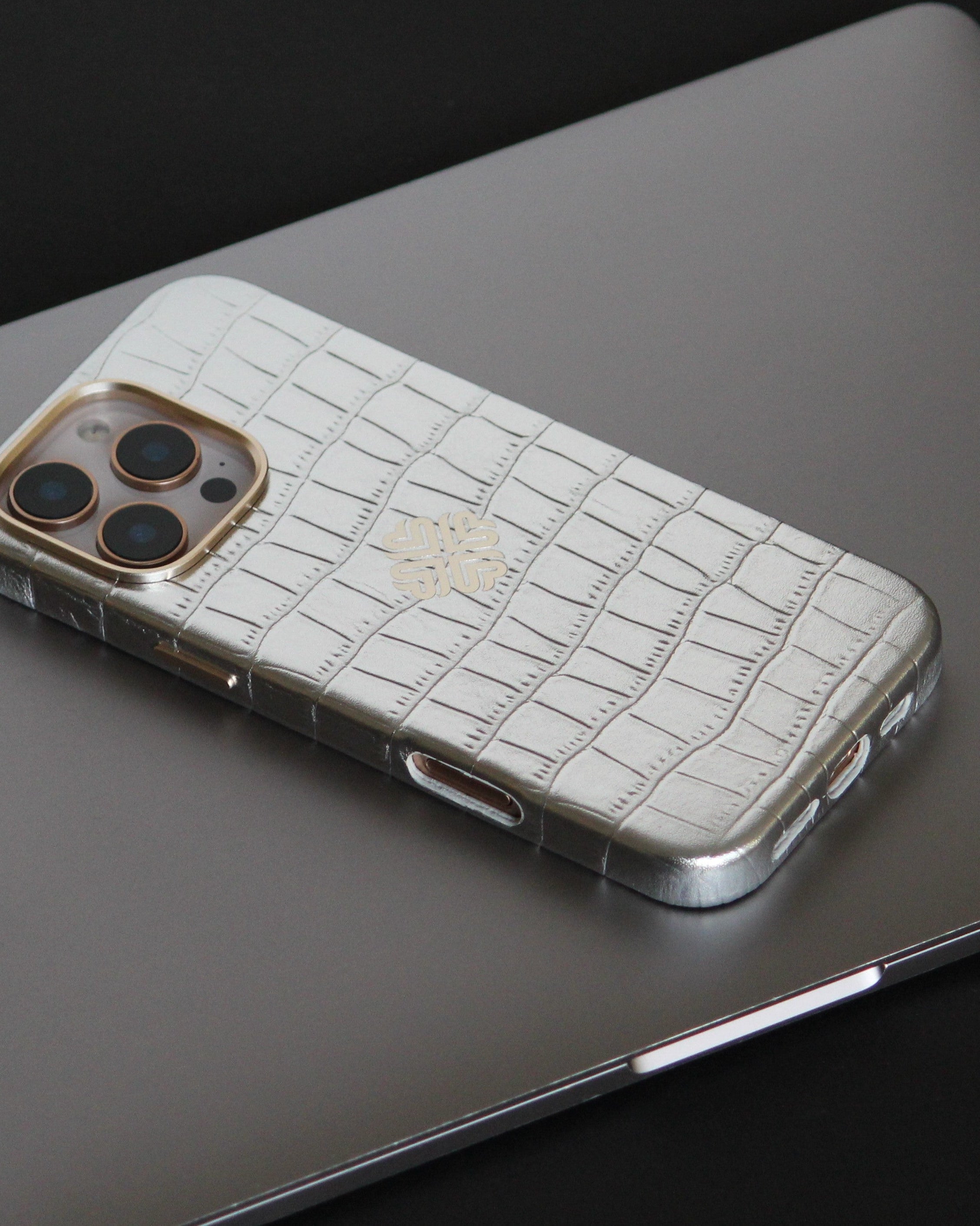 iPhone 16 Series True Titanium - colour options