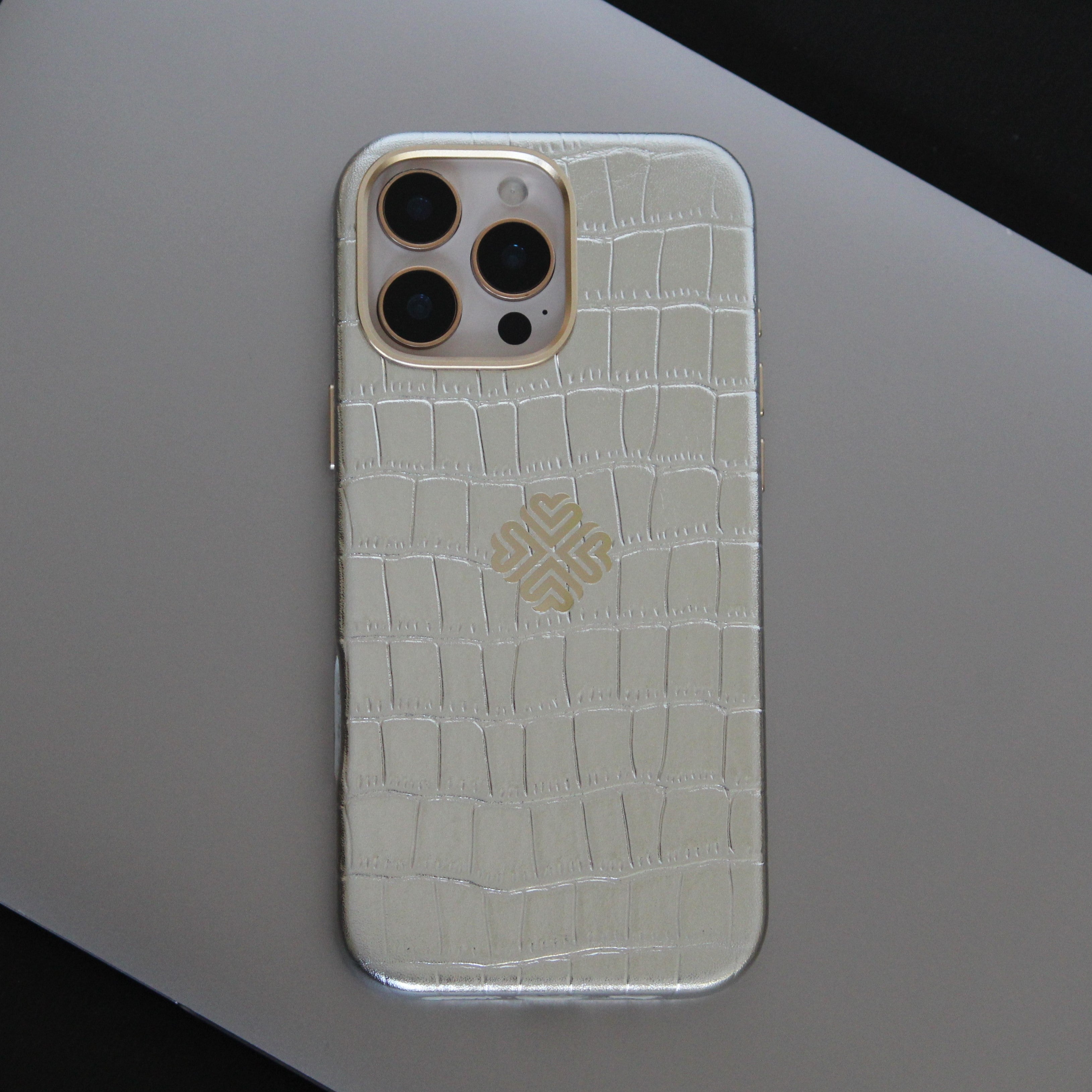 iPhone 16 Series True Titanium - case features