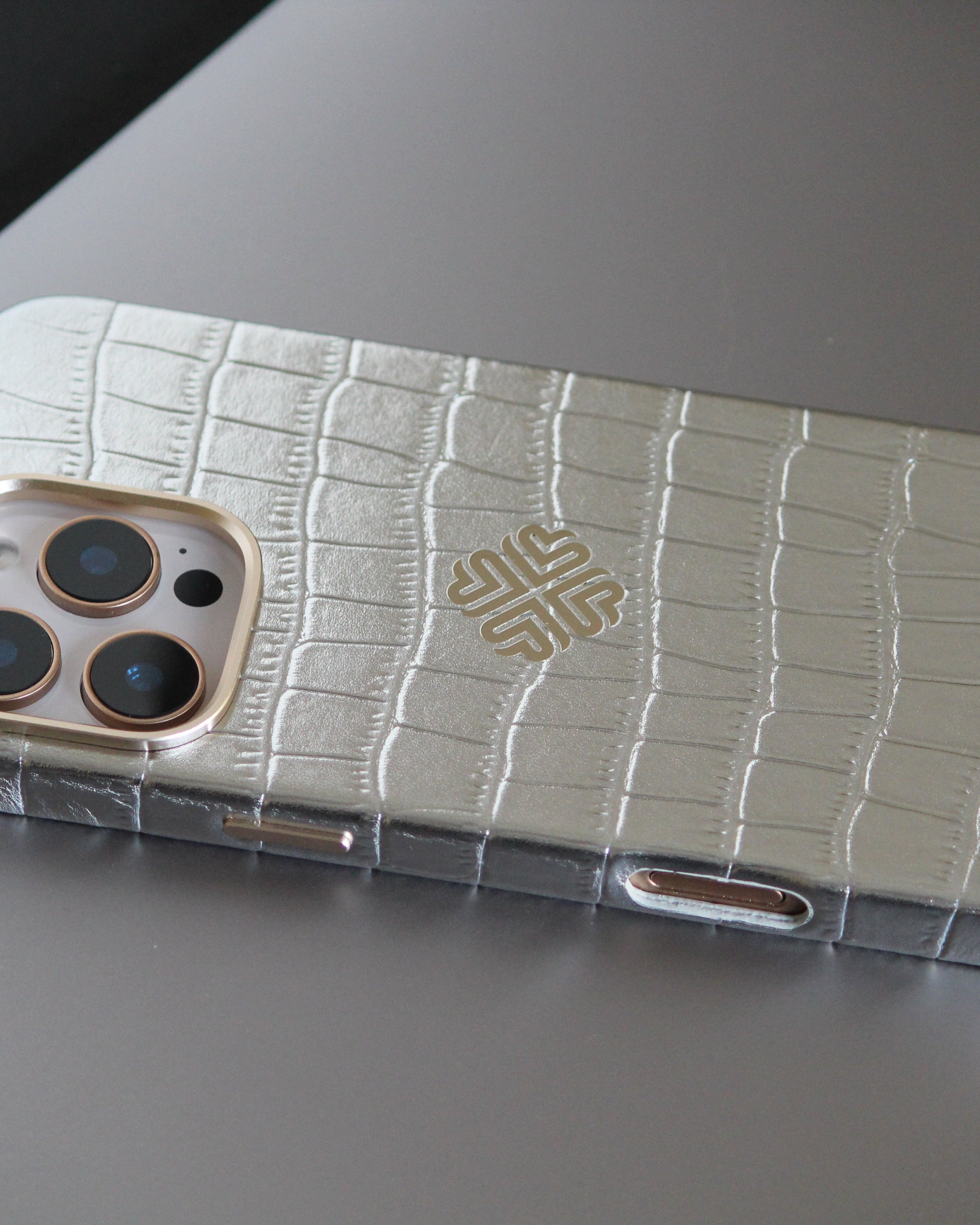 iPhone 16 Series True Titanium - lifestyle