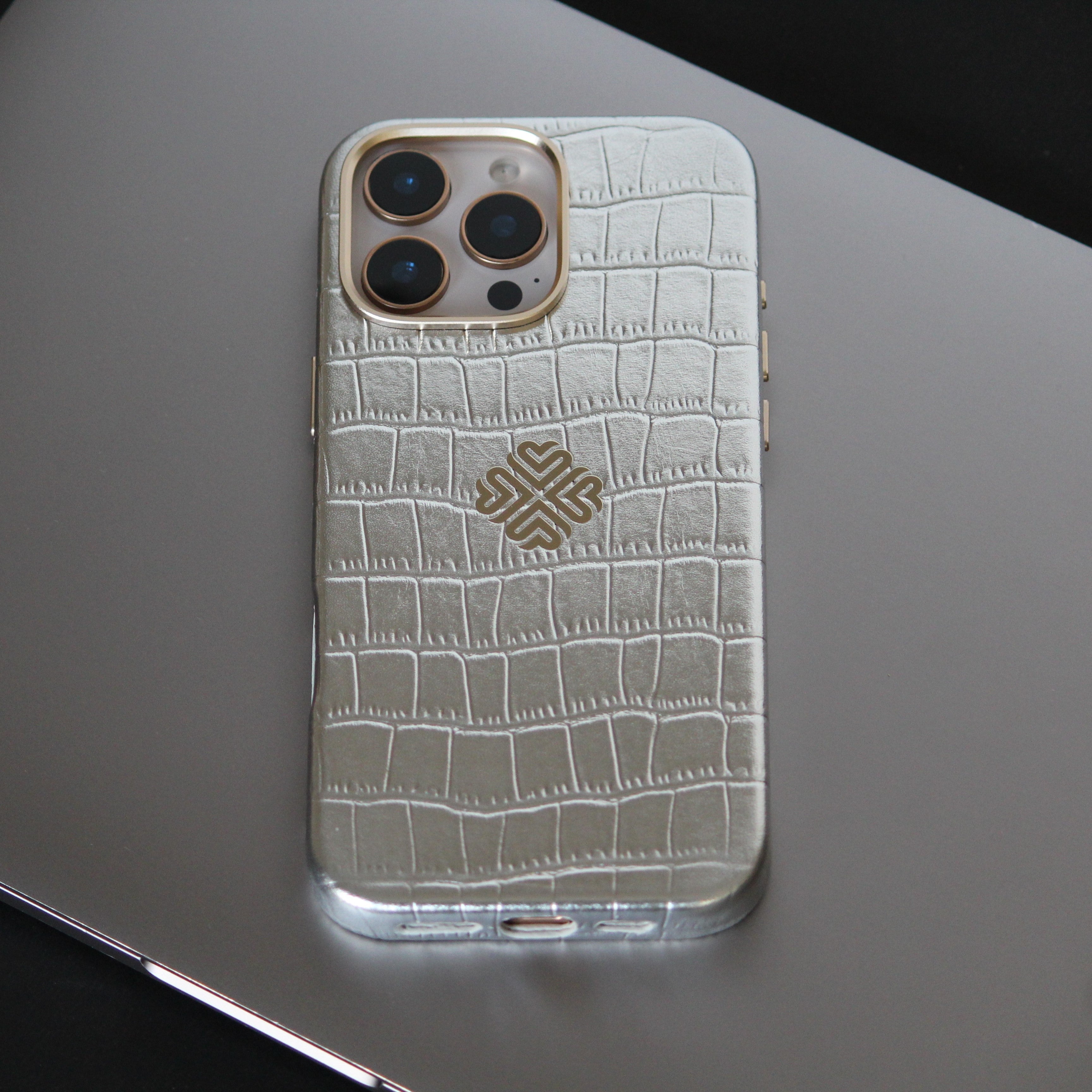 iPhone 16 Series True Titanium - slim profile