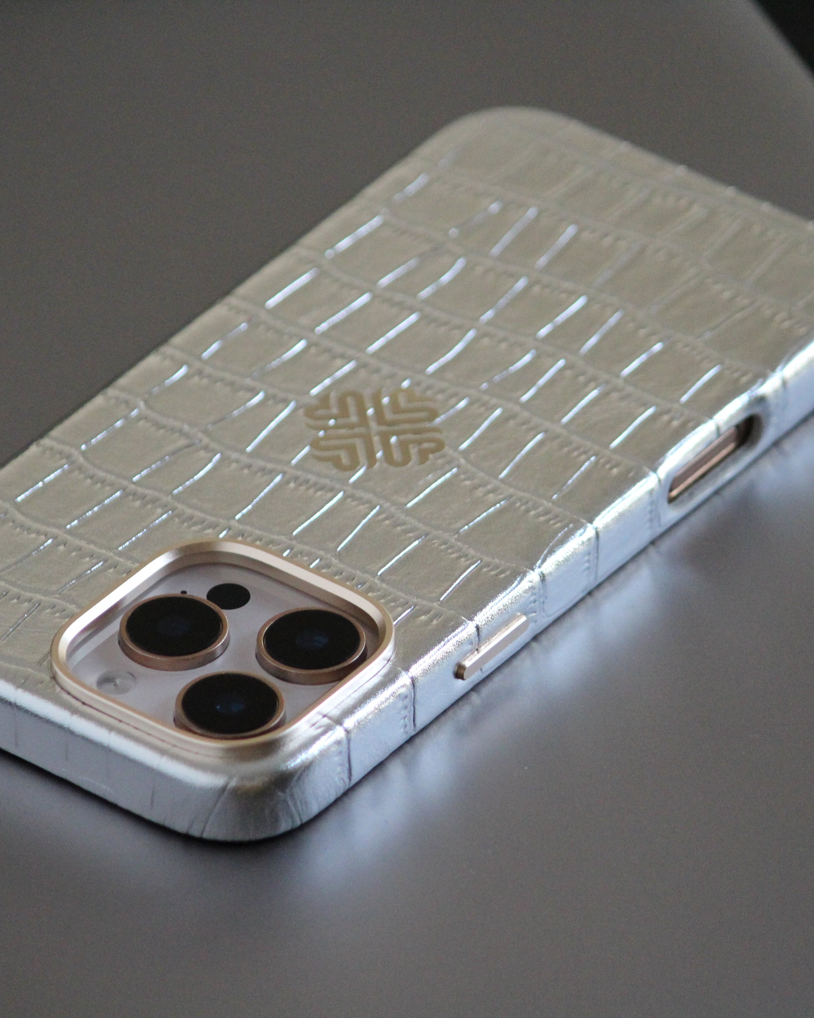 iPhone 16 Series True Titanium - protective case detail