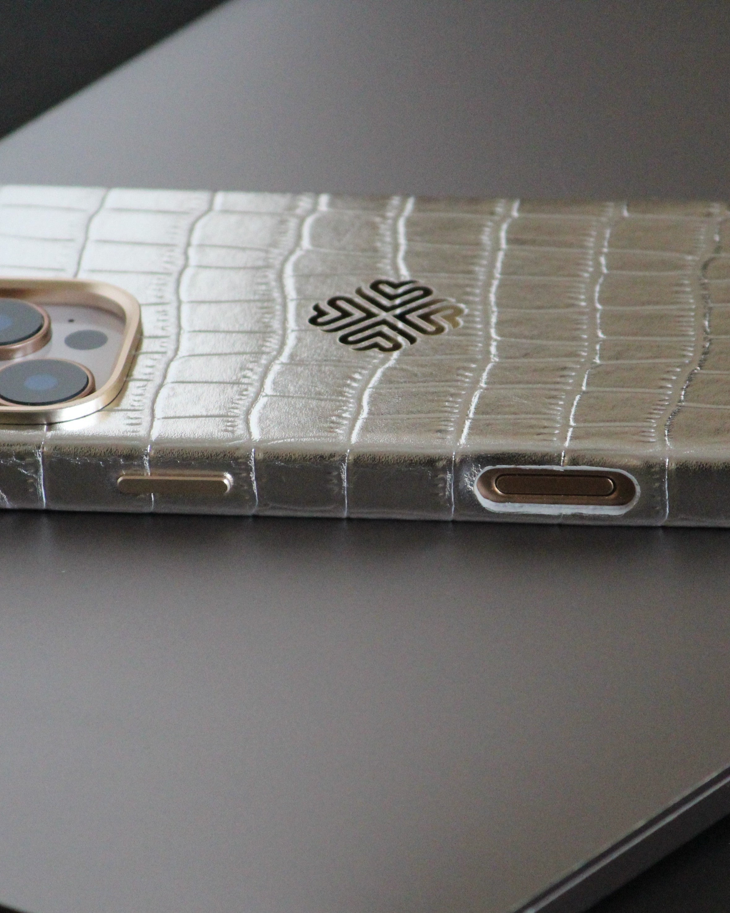 iPhone 16 Series True Titanium - protective case detail