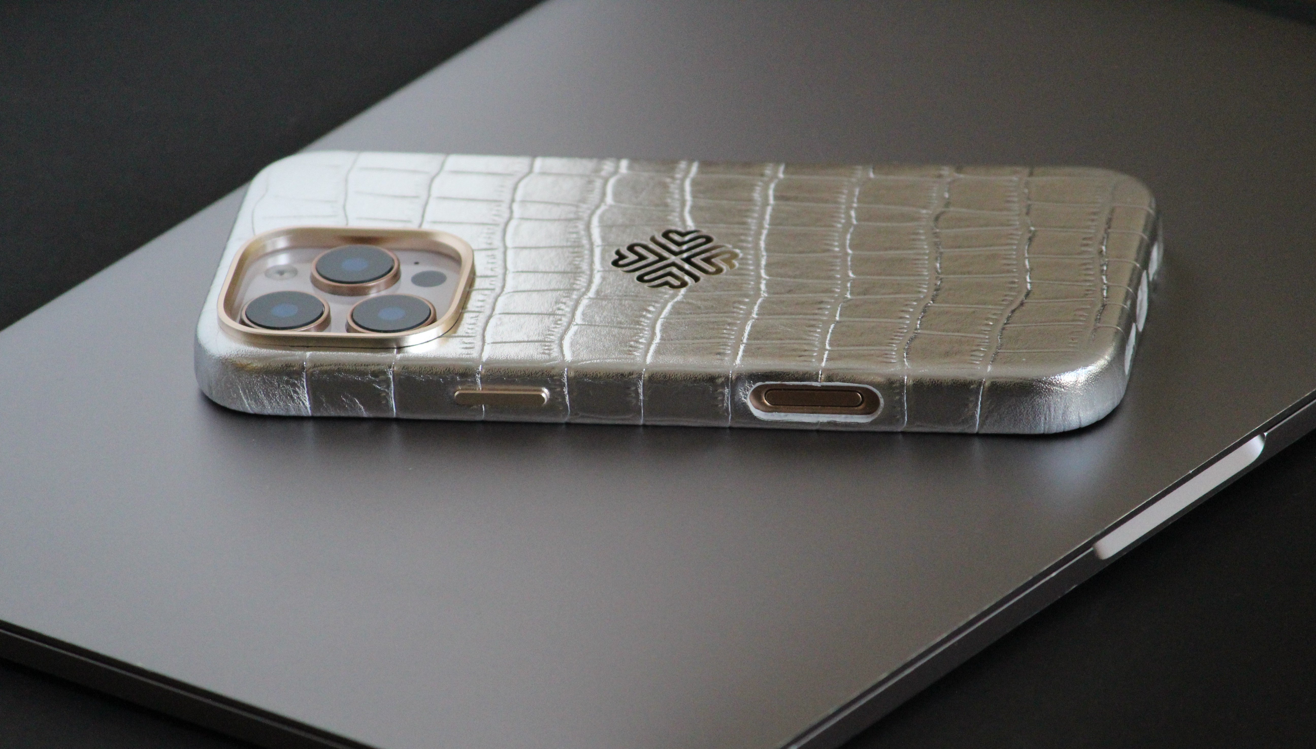 iPhone 16 Series True Titanium - protective case detail