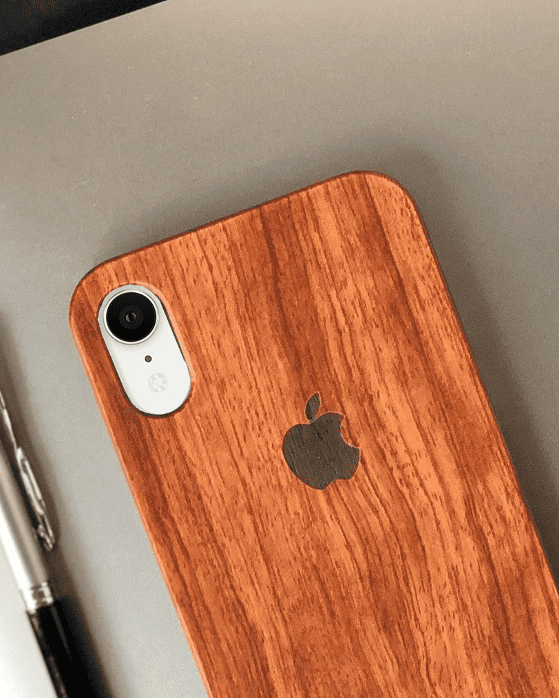 Case iPhone XS / X