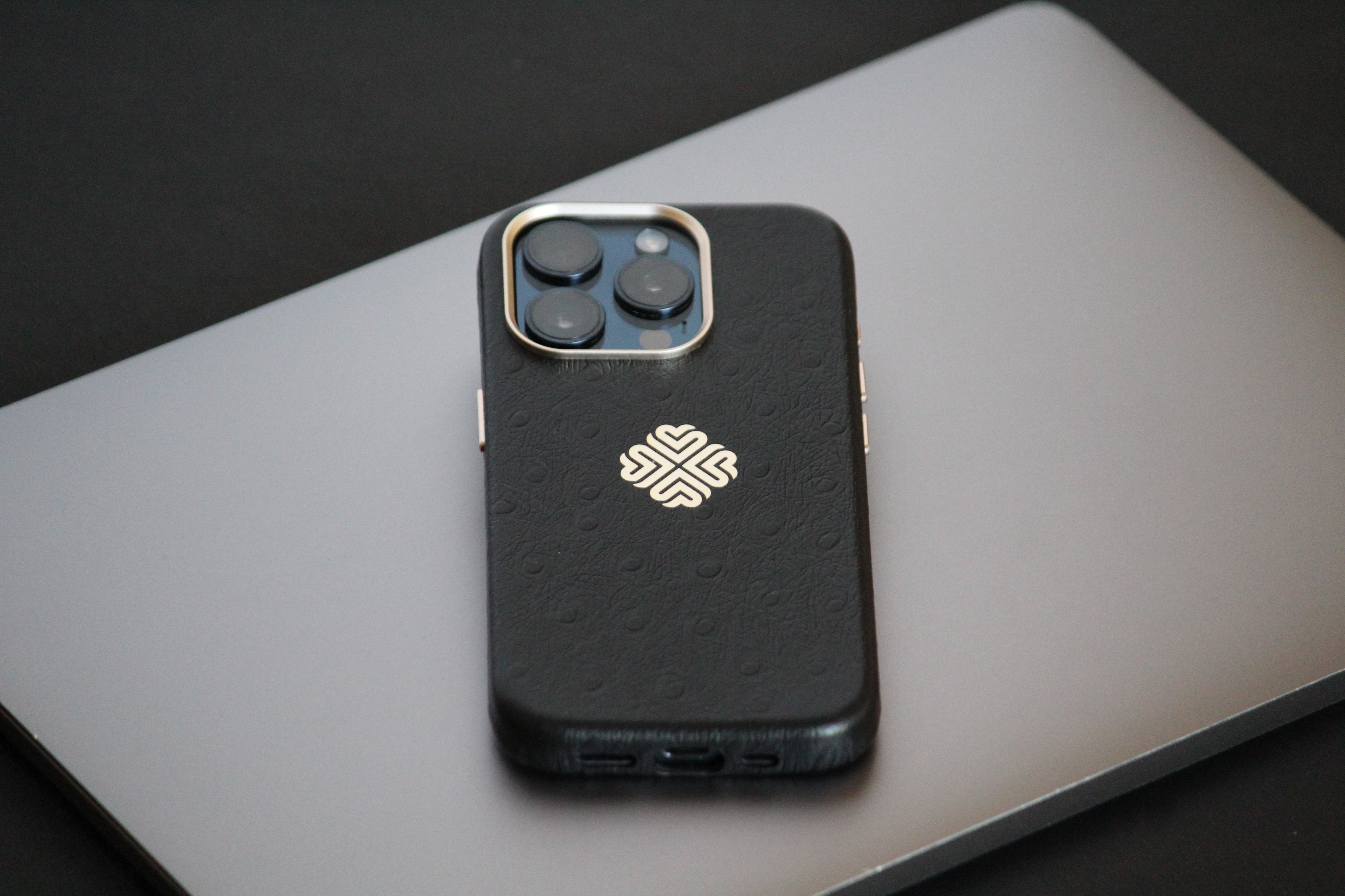 iphone 15 pro max cover for men