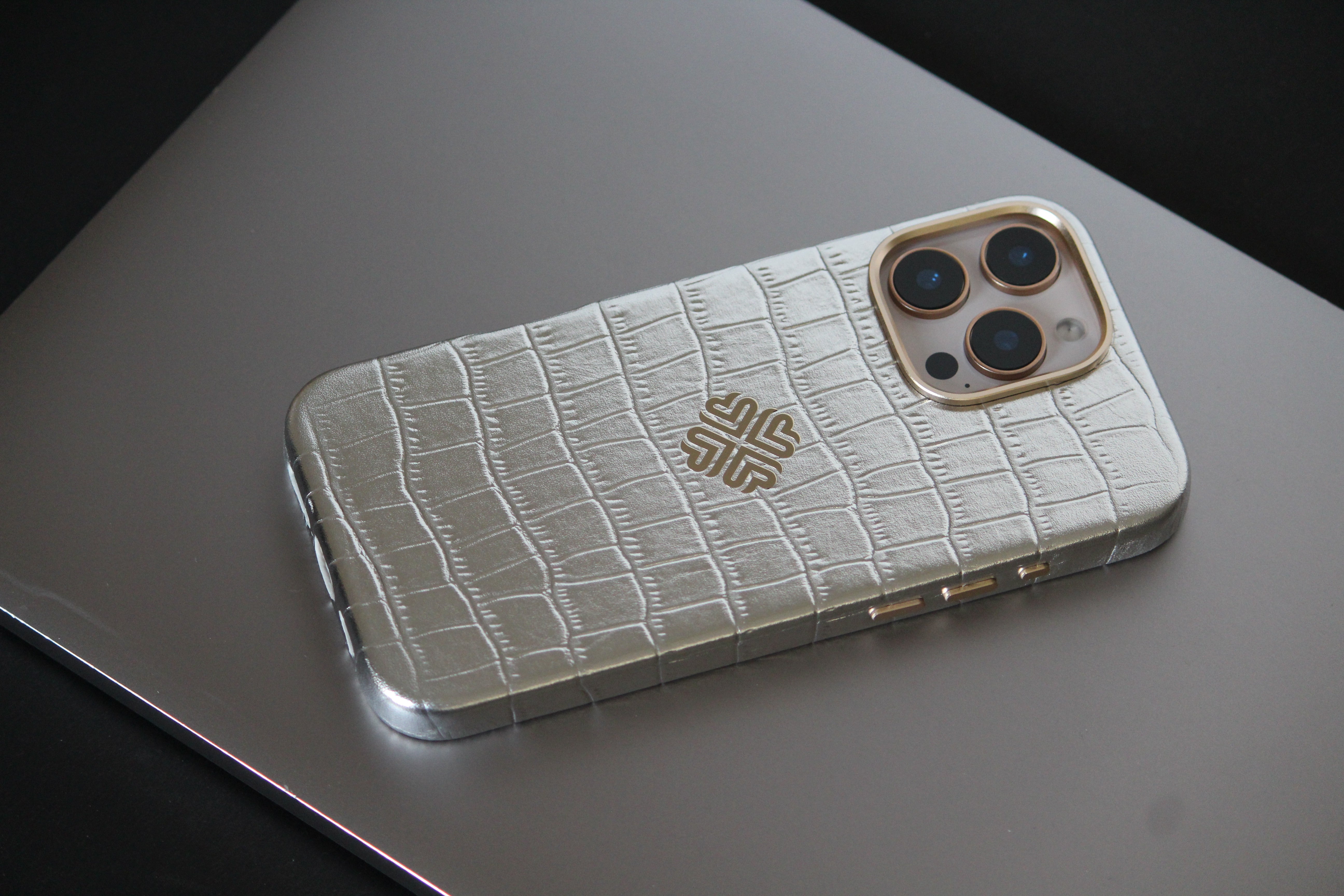 iPhone 16 Series True Titanium - lifestyle
