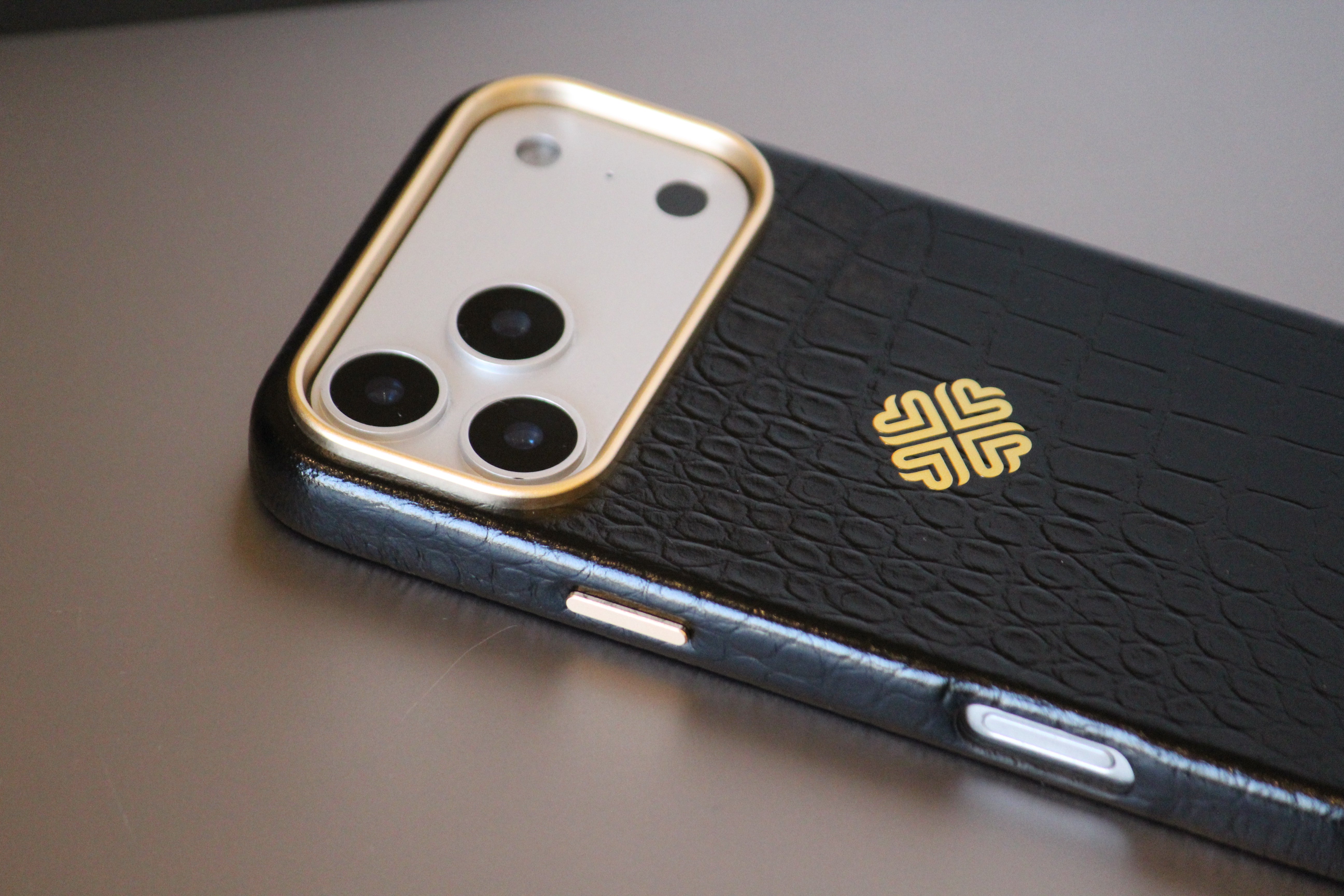 iPhone 17 Series Leather iPhone Cover - protective case detail