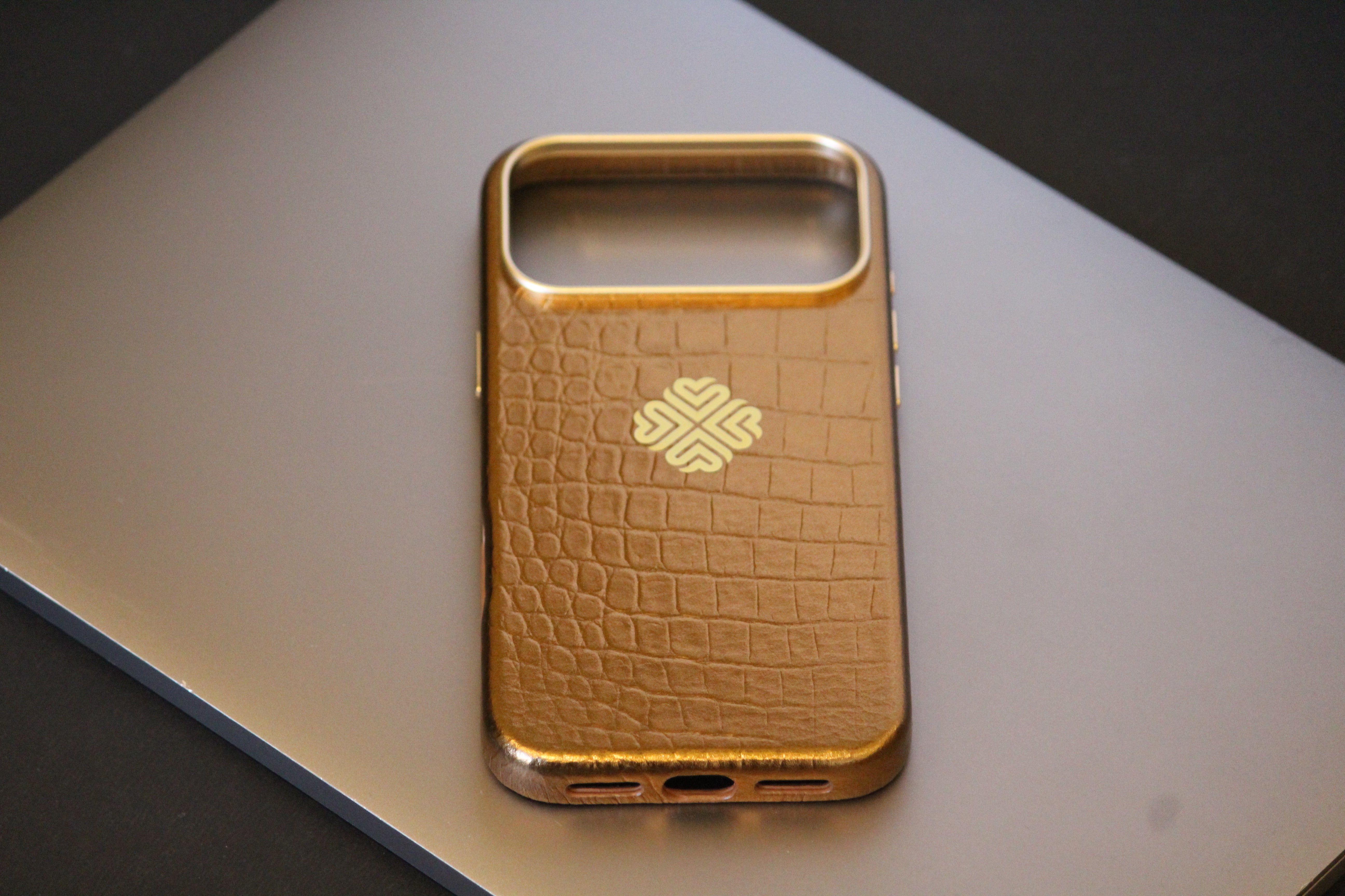 iPhone 17 Series Leather iPhone Cover - protective case detail