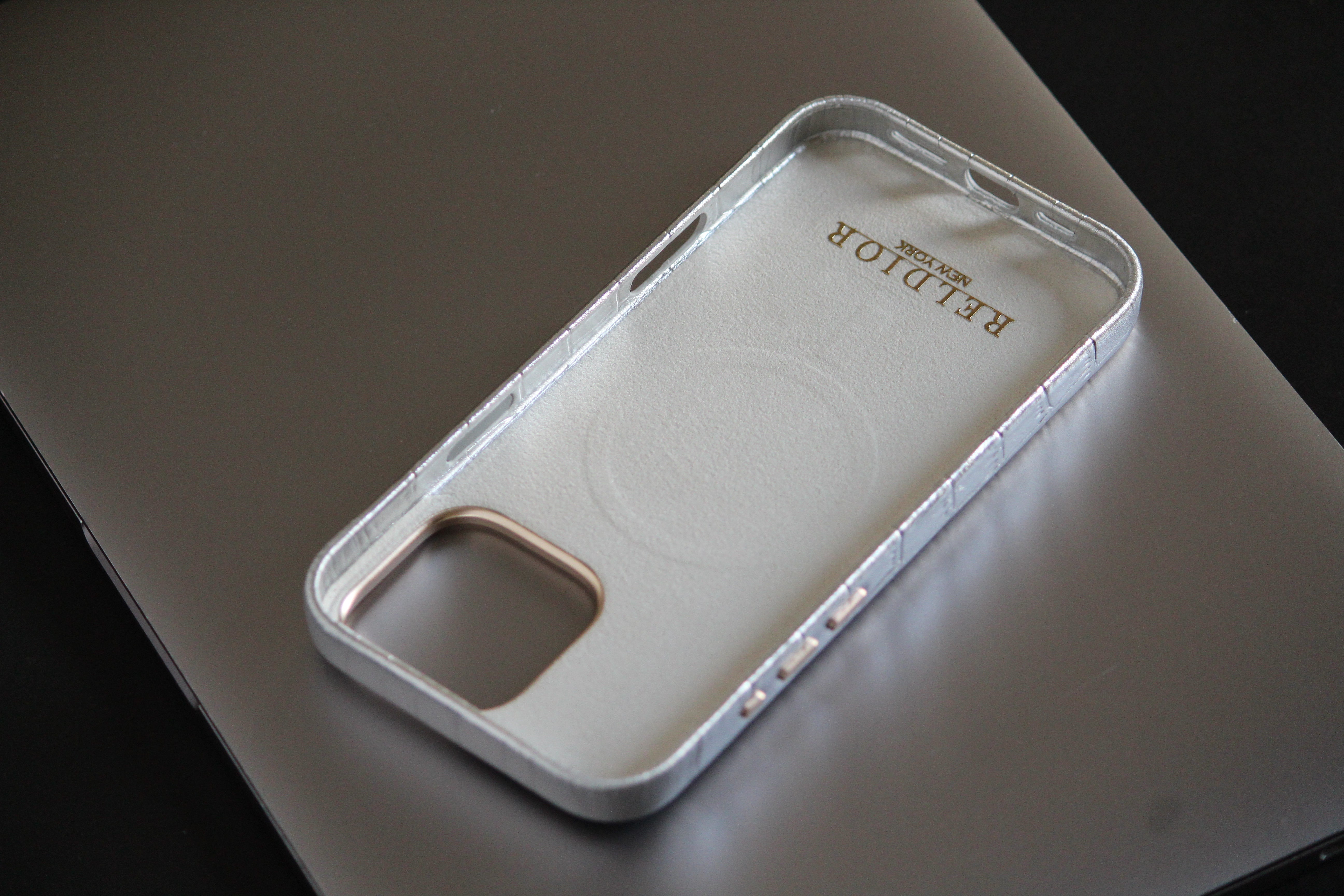 iPhone 16 Series True Titanium - phone case