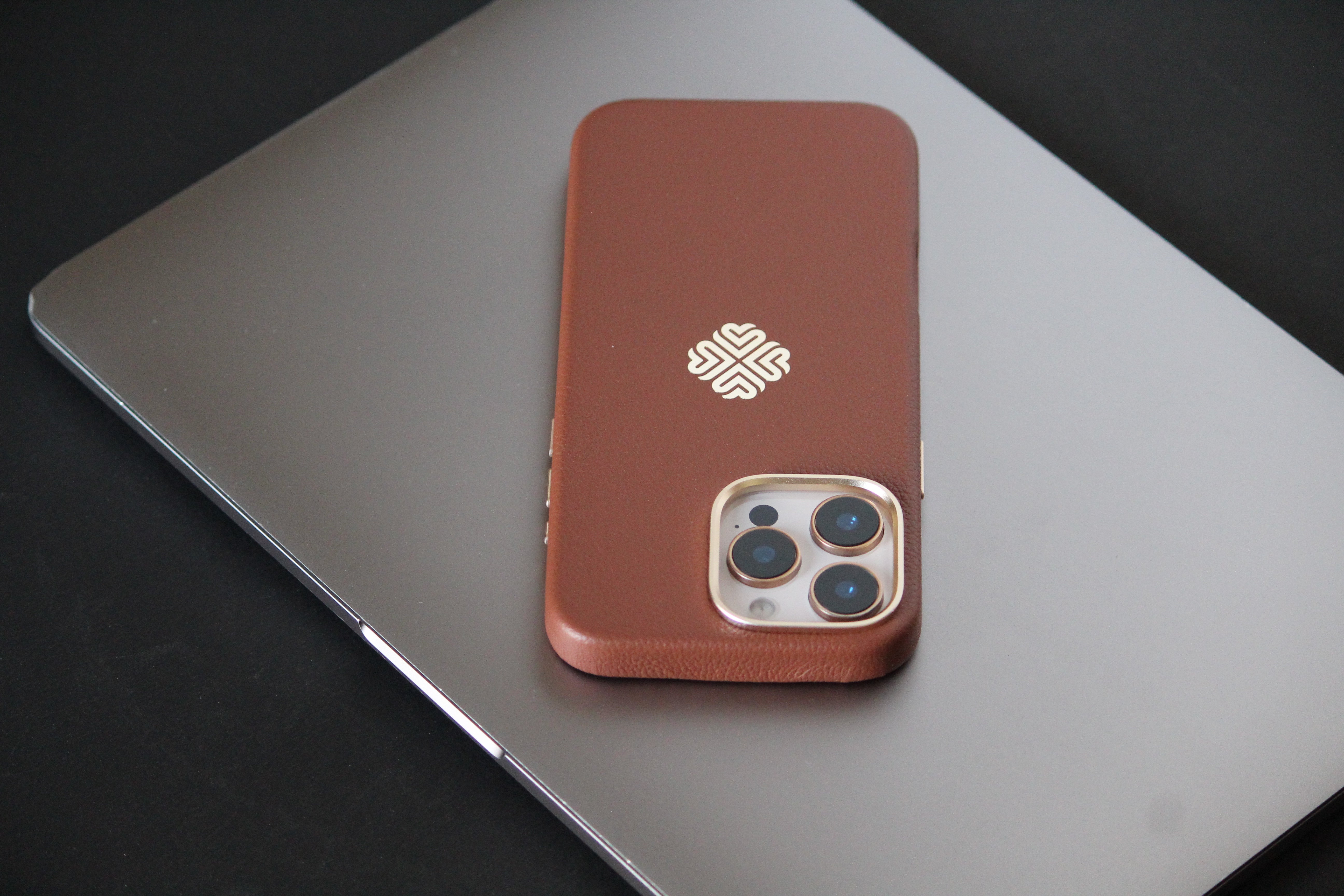 iPhone 16 Series Saddle Brown - colour options