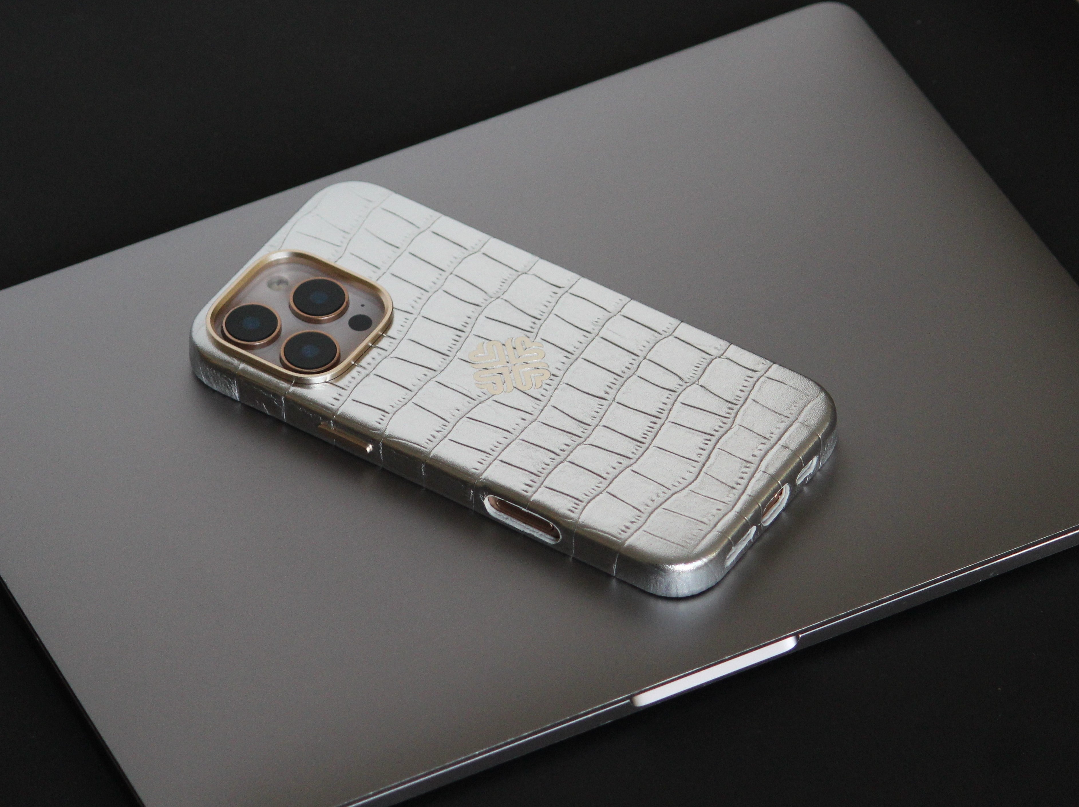 iPhone 16 Series True Titanium - colour options