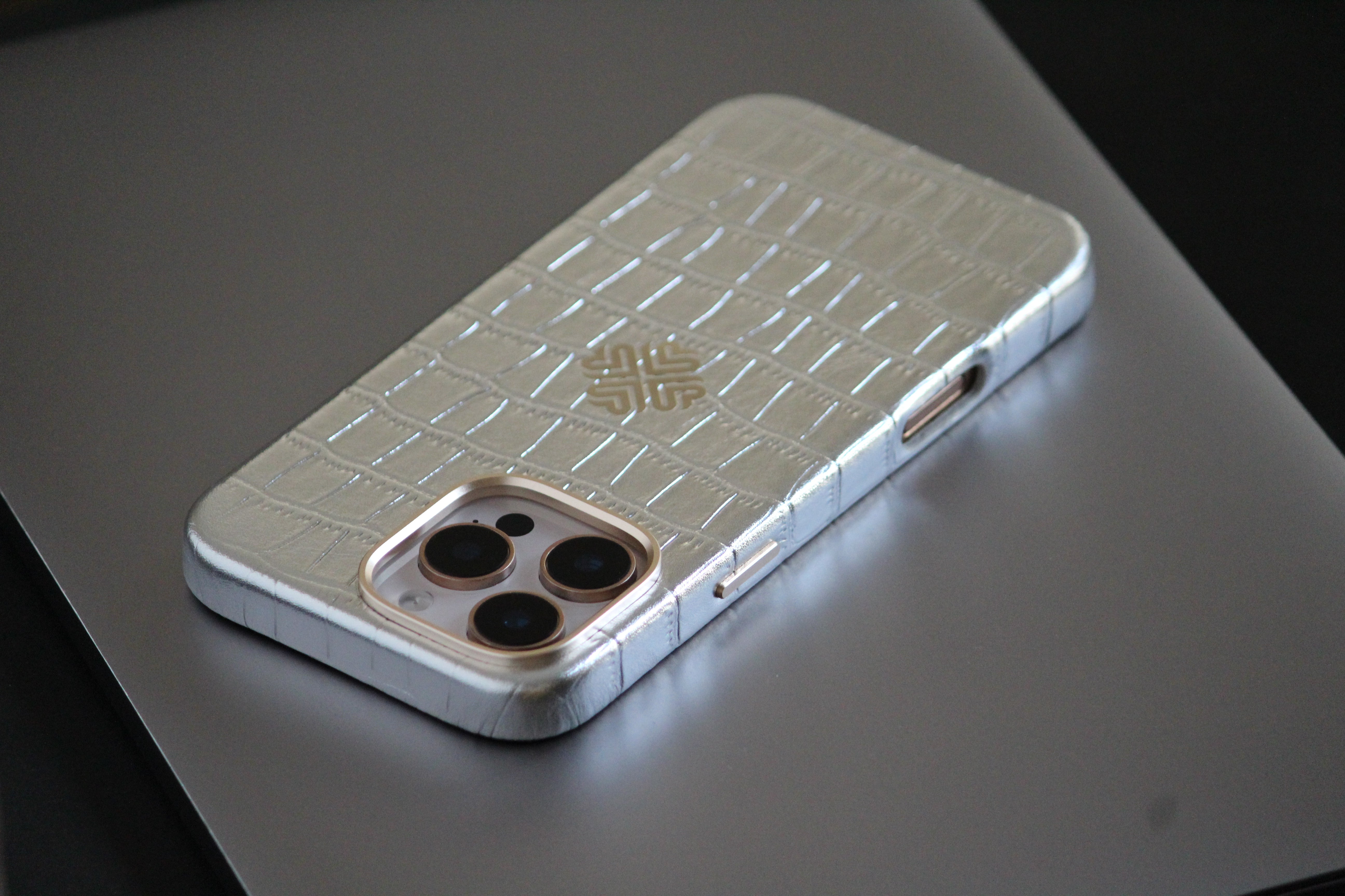 iPhone 16 Series True Titanium - protective case detail